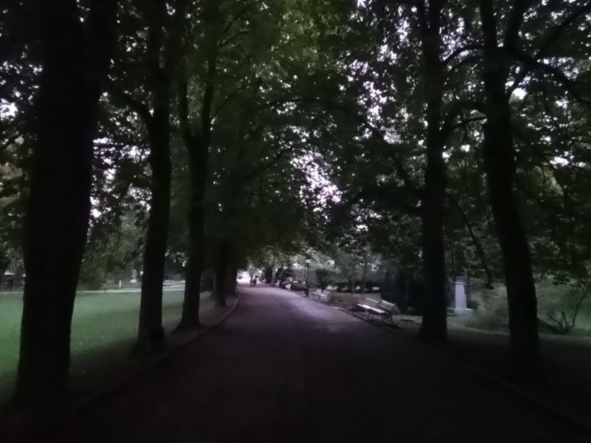  - Cota 1400 - Sinaia