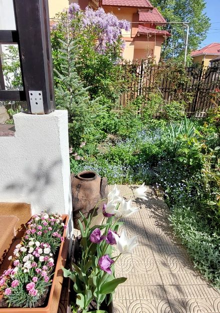  - 2024 feb martie aprilie