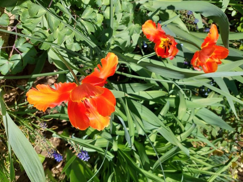  - 2024 feb martie aprilie