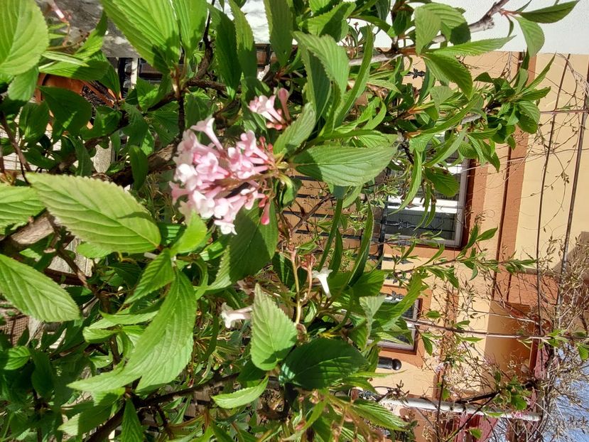  - 2024 feb martie aprilie