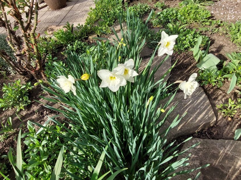  - 2024 feb martie aprilie