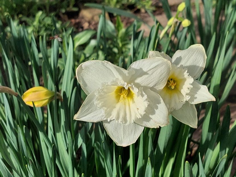  - 2024 feb martie aprilie