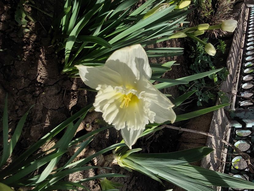  - 2024 feb martie aprilie