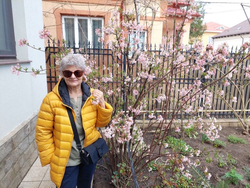  - 2024 feb martie aprilie