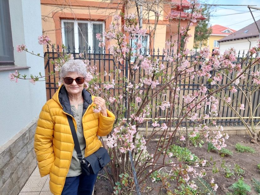  - 2024 feb martie aprilie