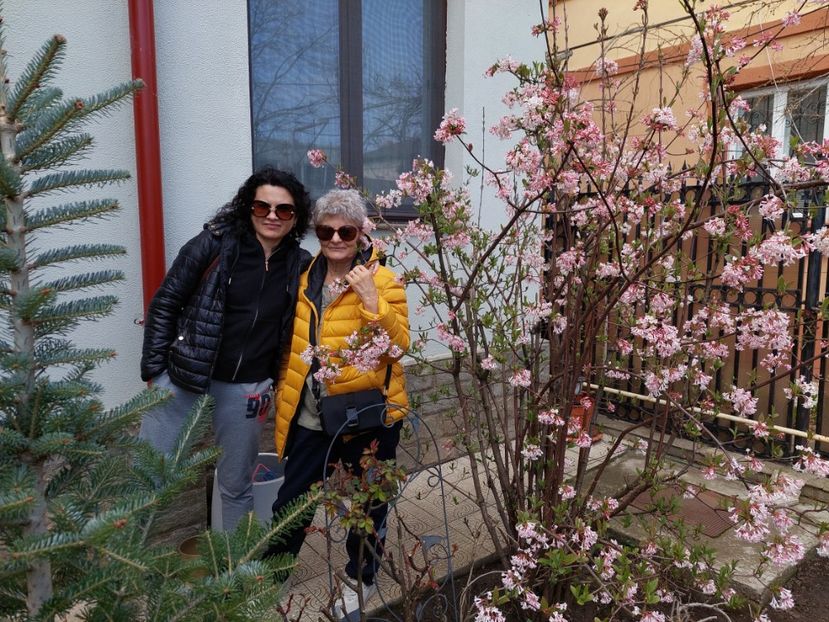  - 2024 feb martie aprilie