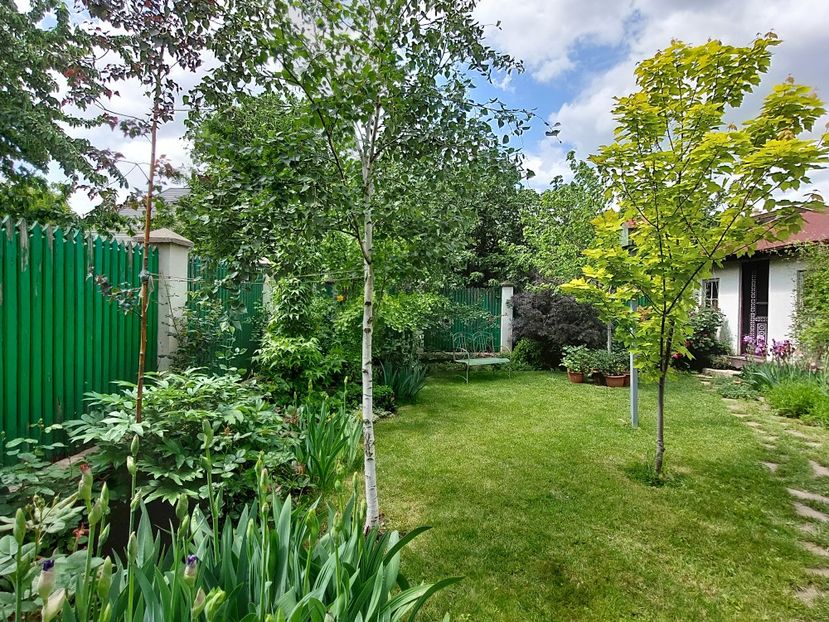  - 2024 continuare april mai