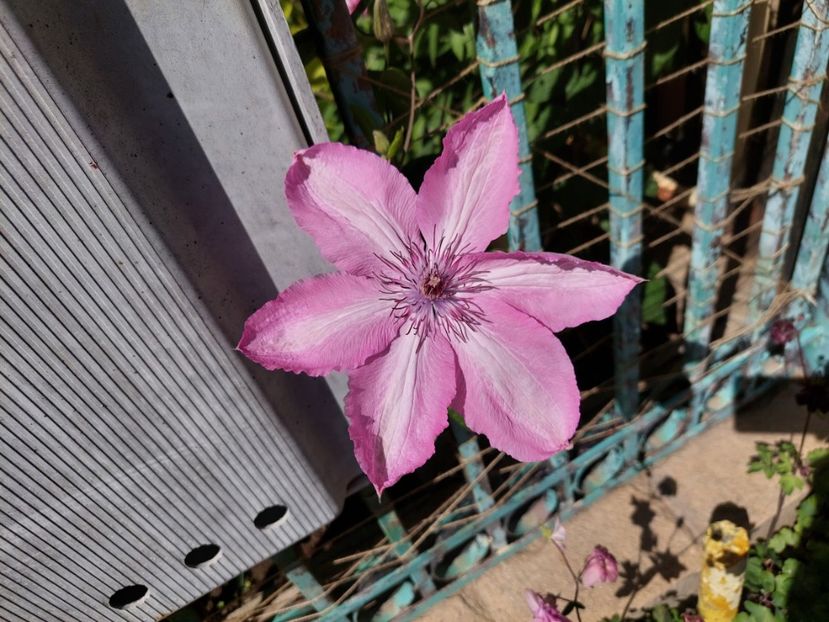  - 2024 continuare april mai