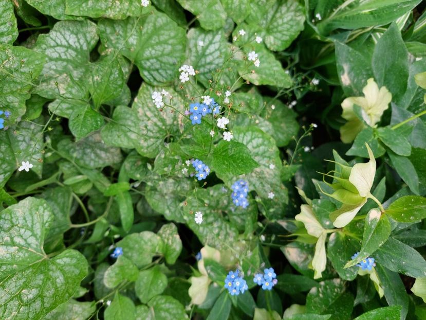  - 2024 continuare april mai