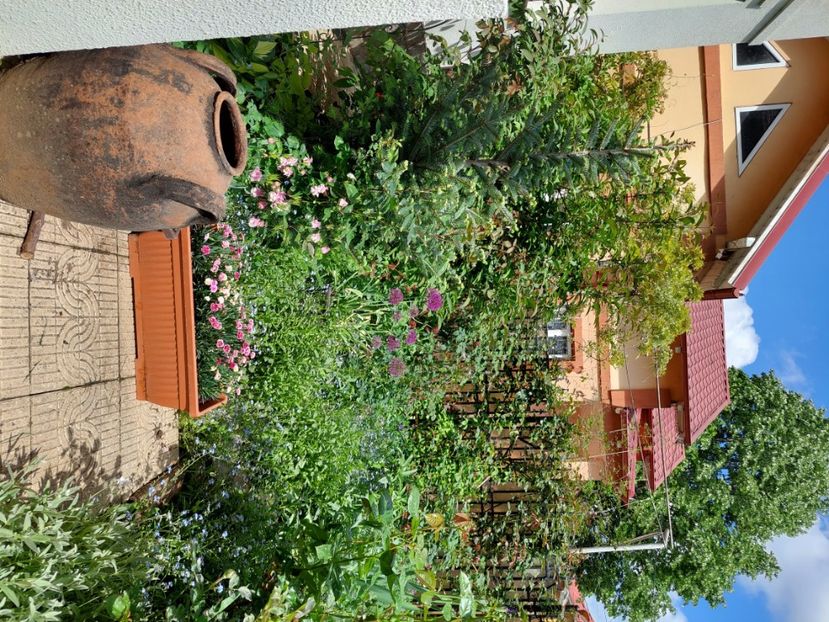  - 2024 continuare april mai