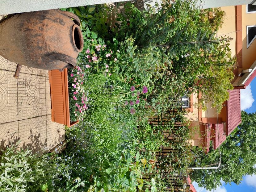  - 2024 continuare april mai