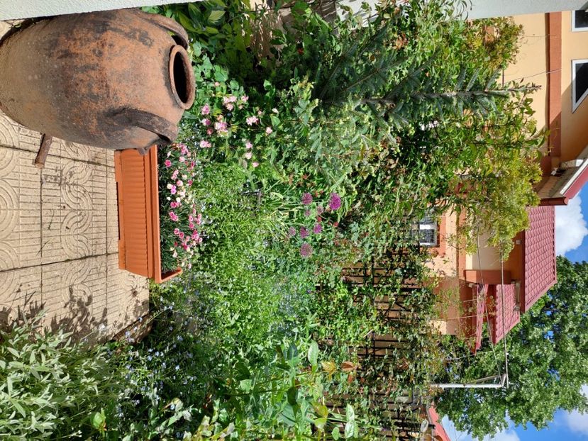  - 2024 continuare april mai