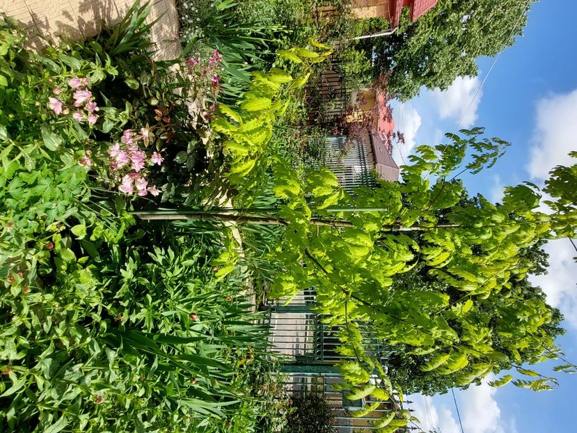  - 2024 continuare april mai