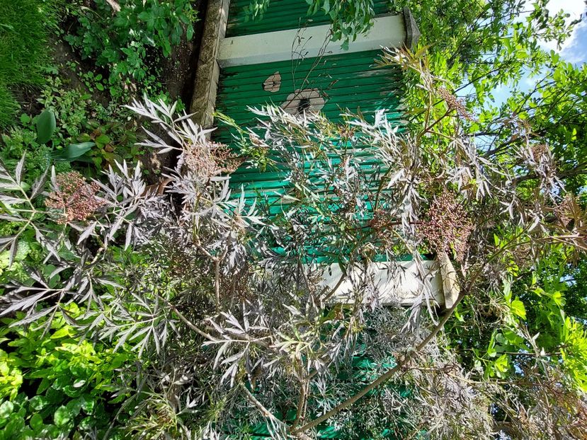  - 2024 continuare april mai