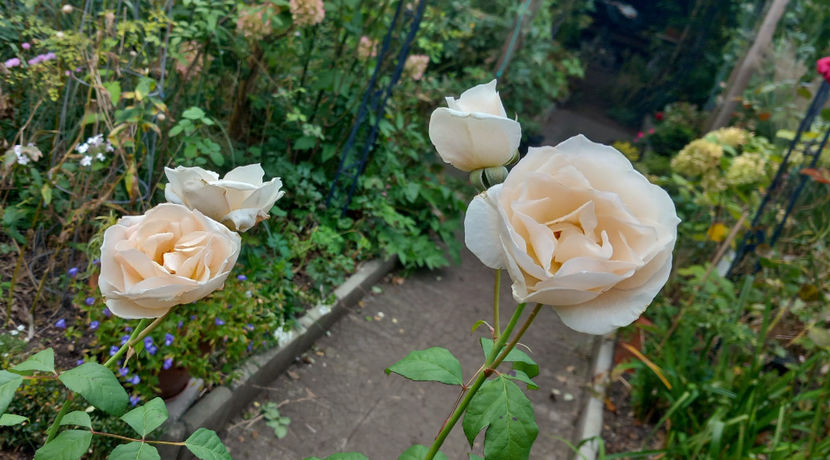  - 2024 - 03 - Toamna