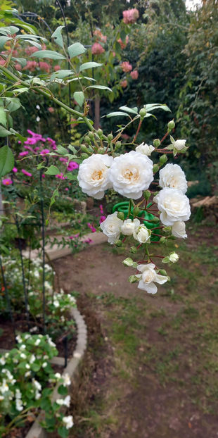  - 2024 - 03 - Toamna