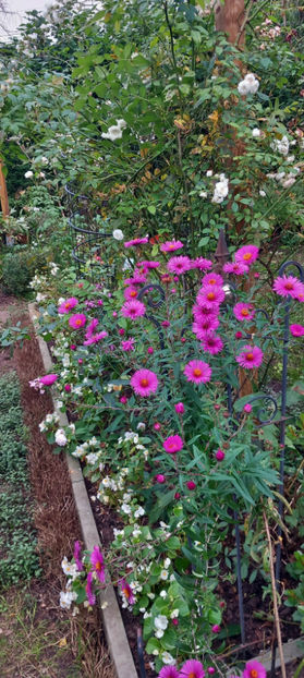  - 2024 - 03 - Toamna