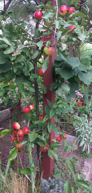  - 2024 - 03 - Toamna