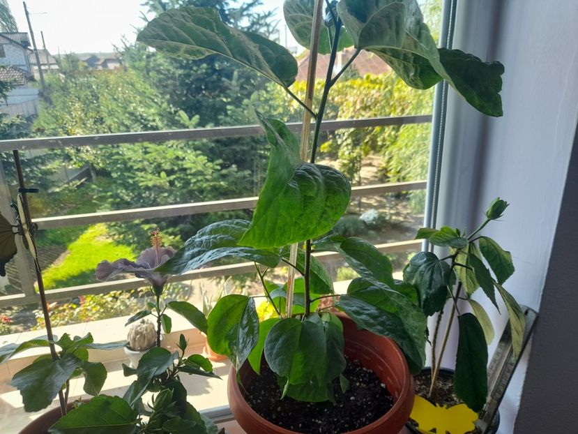  - 1 2024 Din nou cu natura impreuna !