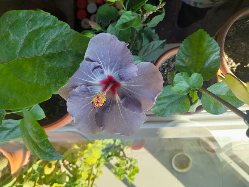  - 1 2024 Din nou cu natura impreuna !