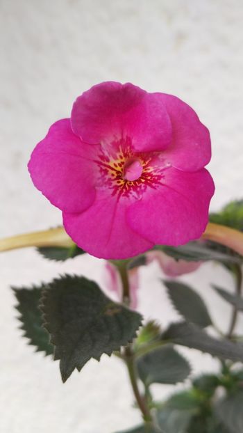  - 2024-BriD s SARAH GRITZAN