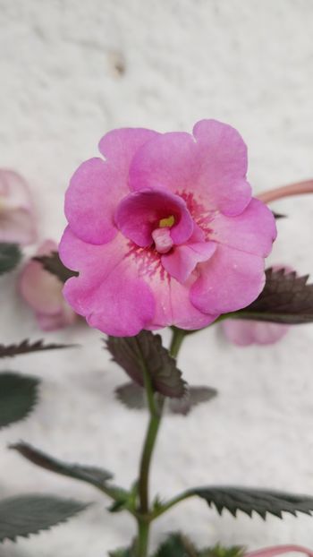  - 2024-BriD s SARAH GRITZAN