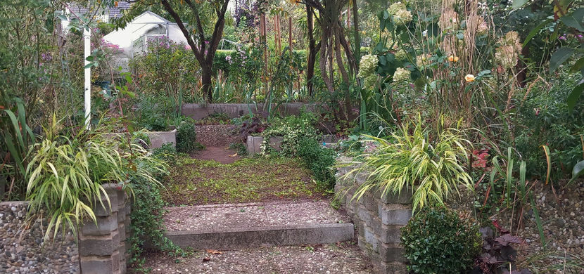  - 2024 - 03 - Toamna