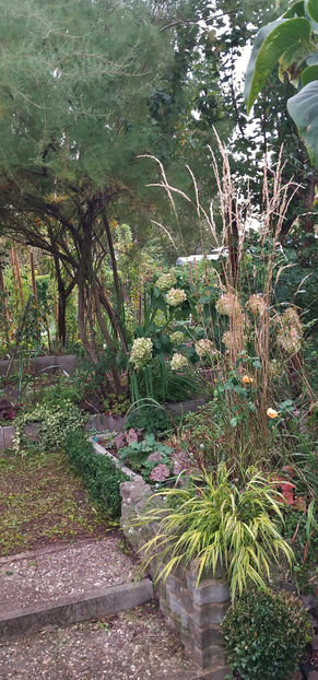  - 2024 - 03 - Toamna