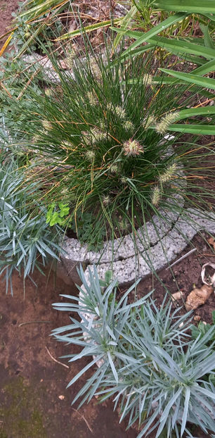  - 2024 - 03 - Toamna