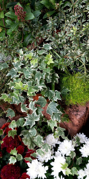  - 2024 - 03 - Toamna