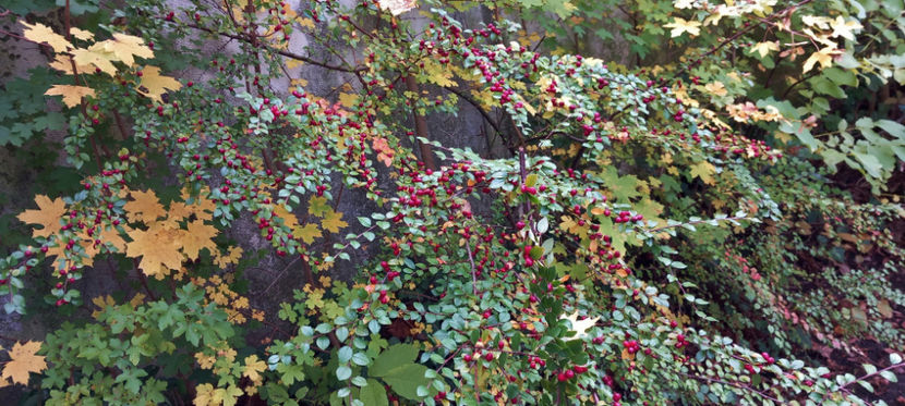  - 2024 - 03 - Toamna