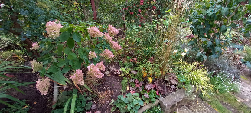  - 2024 - 03 - Toamna