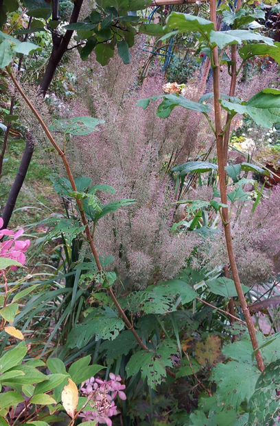  - 2024 - 03 - Toamna