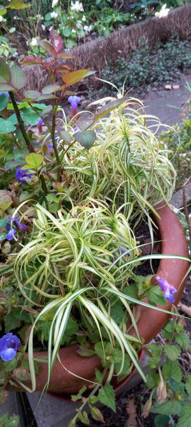  - 2024 - 03 - Toamna