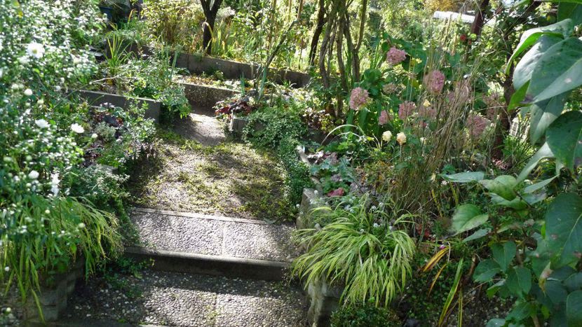  - 2024 - 03 - Toamna