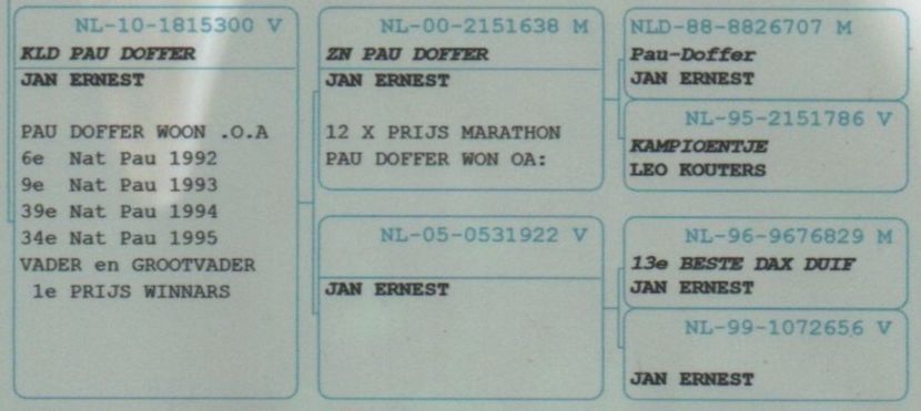 Mama lui LITTLE Jeanne - LITTLE JEANNE - Jan Ernest Steenbergen NL strănepoata TELETEXT și PAU DOFFER