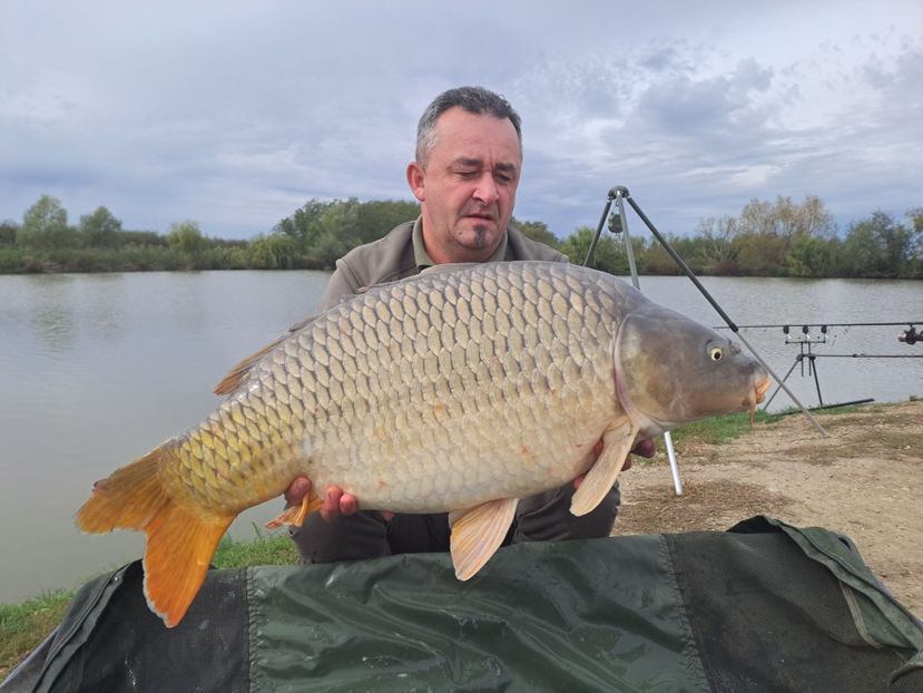 Zabrani octombrie 2024 - Capturi-pesti