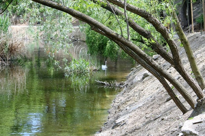  - lebele mele bibi si bibica