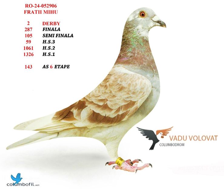  - Rezultate columbodrom 2024