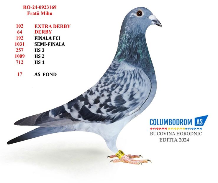  - Rezultate columbodrom 2024