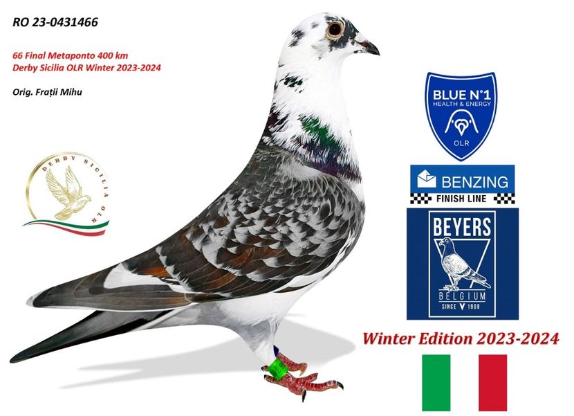  - Rezultate columbodrom 2024