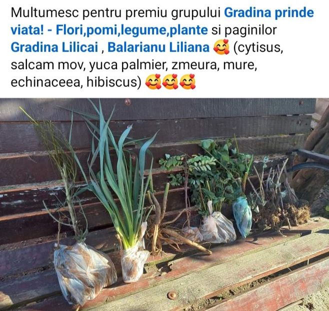  - Premii castigate la concursurile online