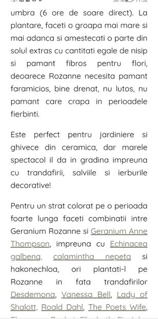 Screenshot_20241004_115243_com.android.chrome_edit_31927619475336 - aaa Comanda plante 2022 2023 2024