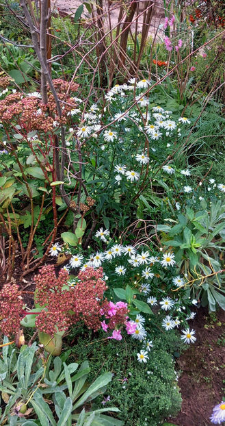  - 2024 - 03 - Toamna