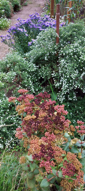  - 2024 - 03 - Toamna