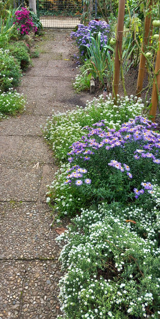  - 2024 - 03 - Toamna