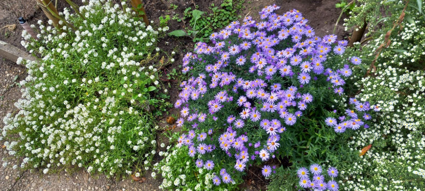  - 2024 - 03 - Toamna