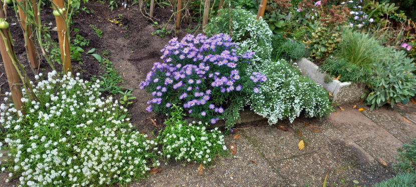  - 2024 - 03 - Toamna