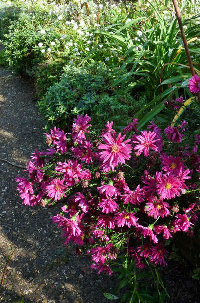  - 2024 - 03 - Toamna