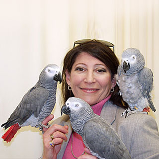 bird-brains-parrots-smarter_1 - oamenii si papagalii